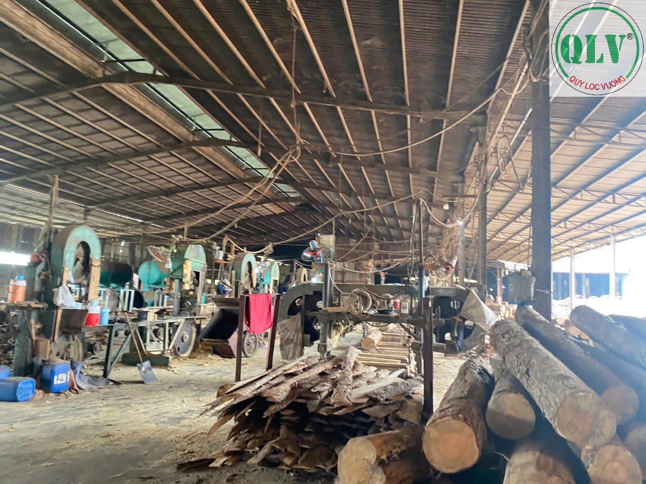 Cho thuê nhà xưởng 19.989m2 phù hợp cưa xẻ,sấy tẩm gỗ Hớn Quản, Bình Phước. - Ảnh 2