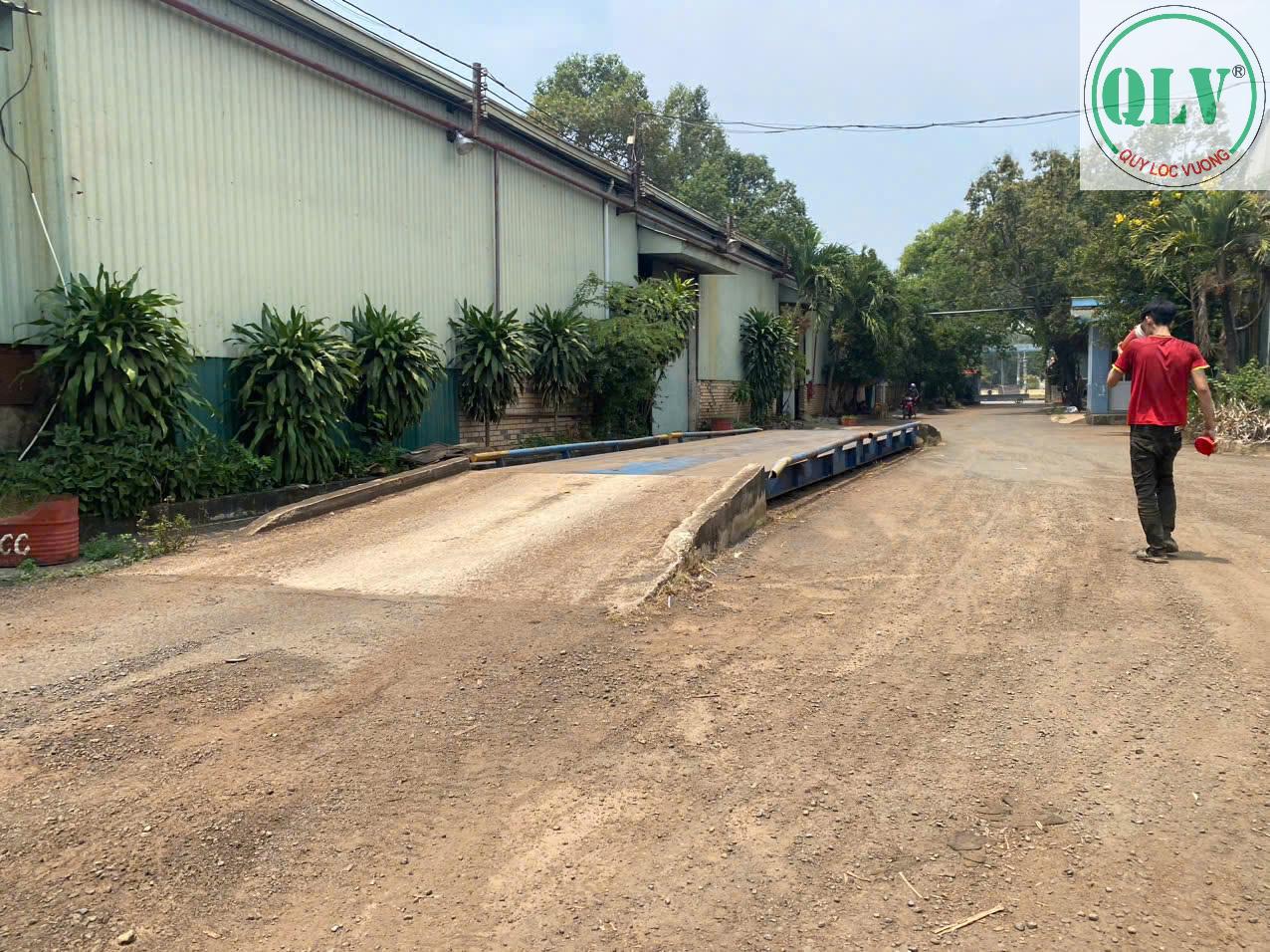 Cho thuê nhà xưởng 19.989m2 phù hợp cưa xẻ,sấy tẩm gỗ Hớn Quản, Bình Phước. - Ảnh 3