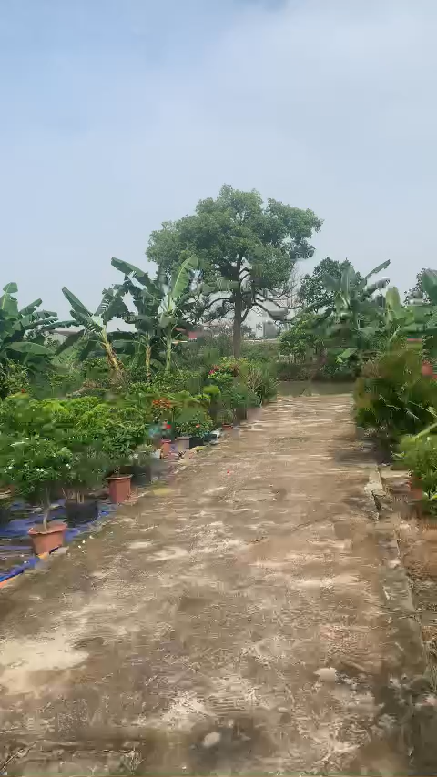 Bán đất 50m² khu Tân Hưng Hải Dương, ô tô vào tận nơi – giá chỉ 6xx triệu - Ảnh chính