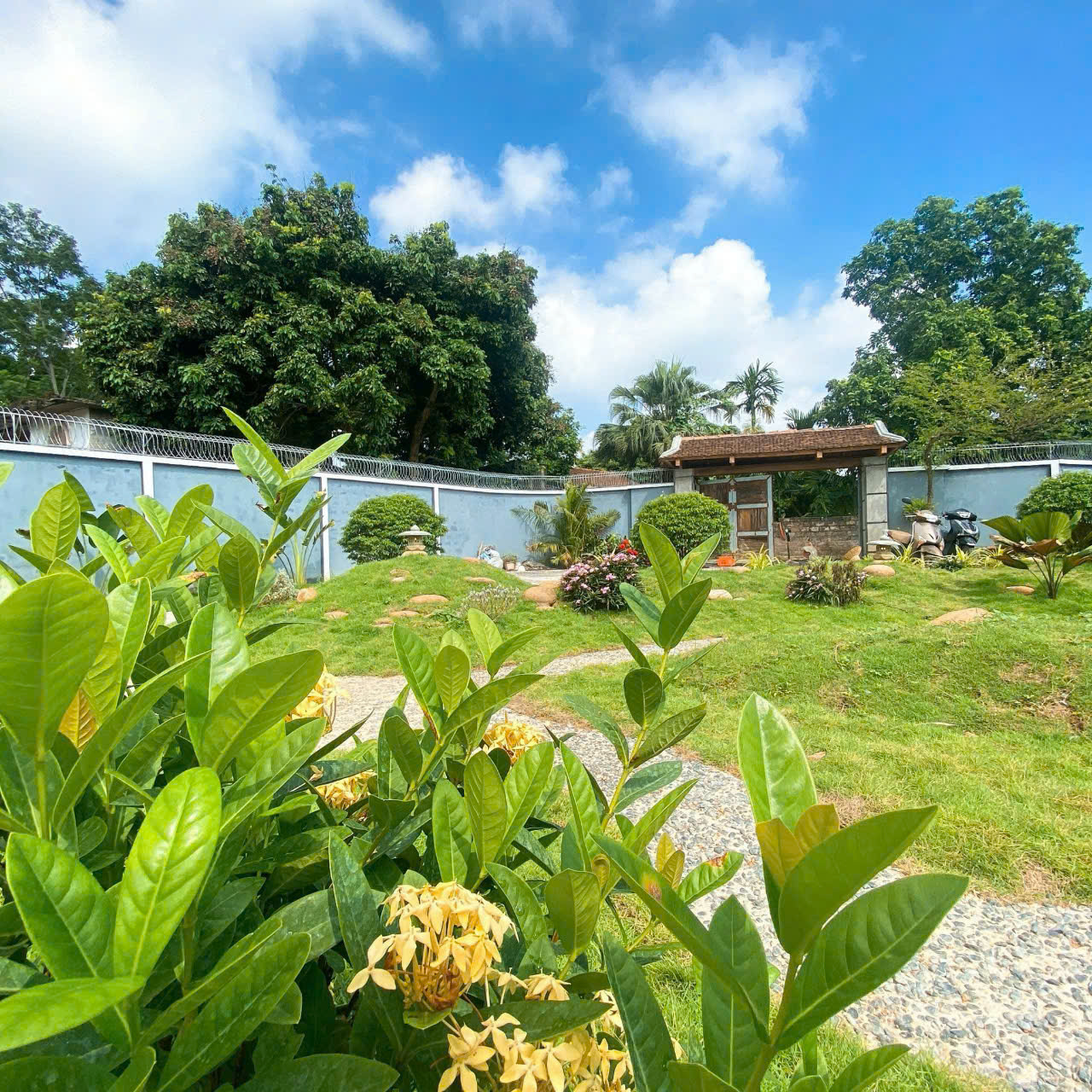748m Chương Mỹ - Hà Nội . Sẵn khuôn viên - Ảnh 2