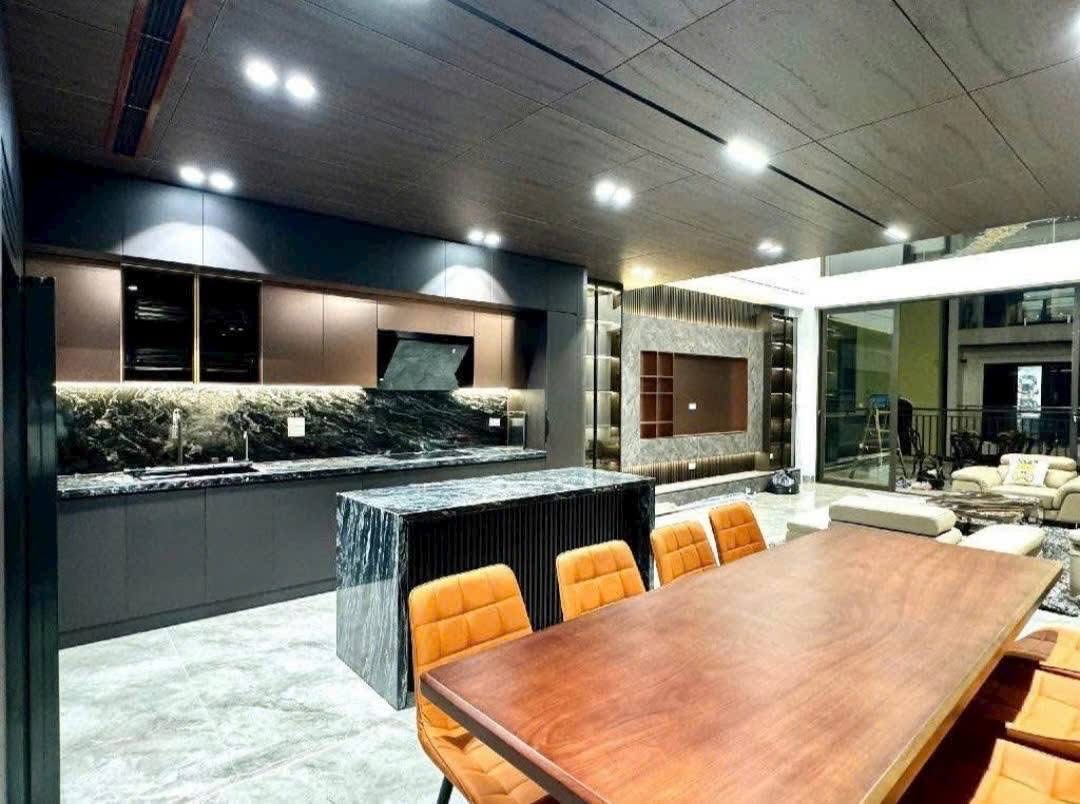 BIỆT THỰ PHỐ ĐẲNG CẤP TẠI LÂM HẠ - GARA - THANG MÁY - CHỈ HƠN 14 TỶ - Ảnh 1