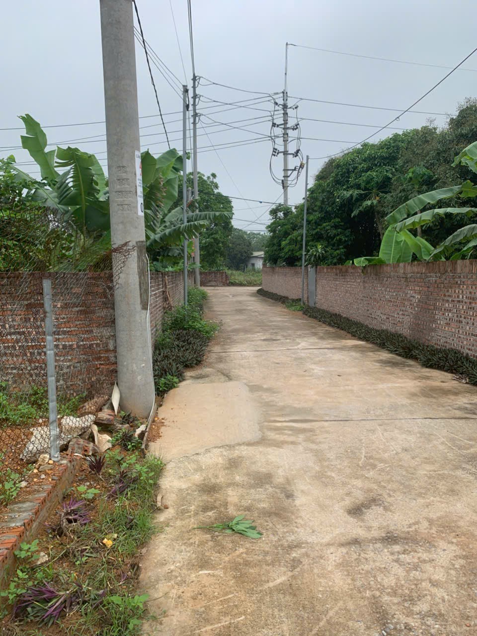 ĐẤT ĐẸP - GIÁ TỐT - Cần Bán Nhanh Lô Đất Tại Đường tỉnh 411C, Xã Phú Sơn, Huyện Ba Vì, Hà Nội - Ảnh chính