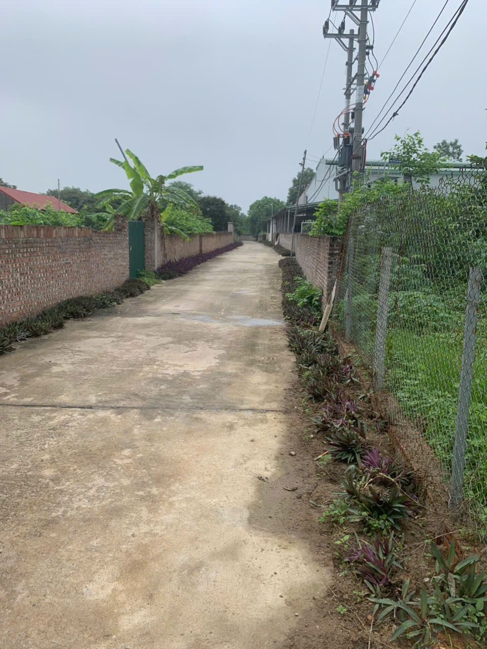 ĐẤT ĐẸP - GIÁ TỐT - Cần Bán Nhanh Lô Đất Tại Đường tỉnh 411C, Xã Phú Sơn, Huyện Ba Vì, Hà Nội - Ảnh 1