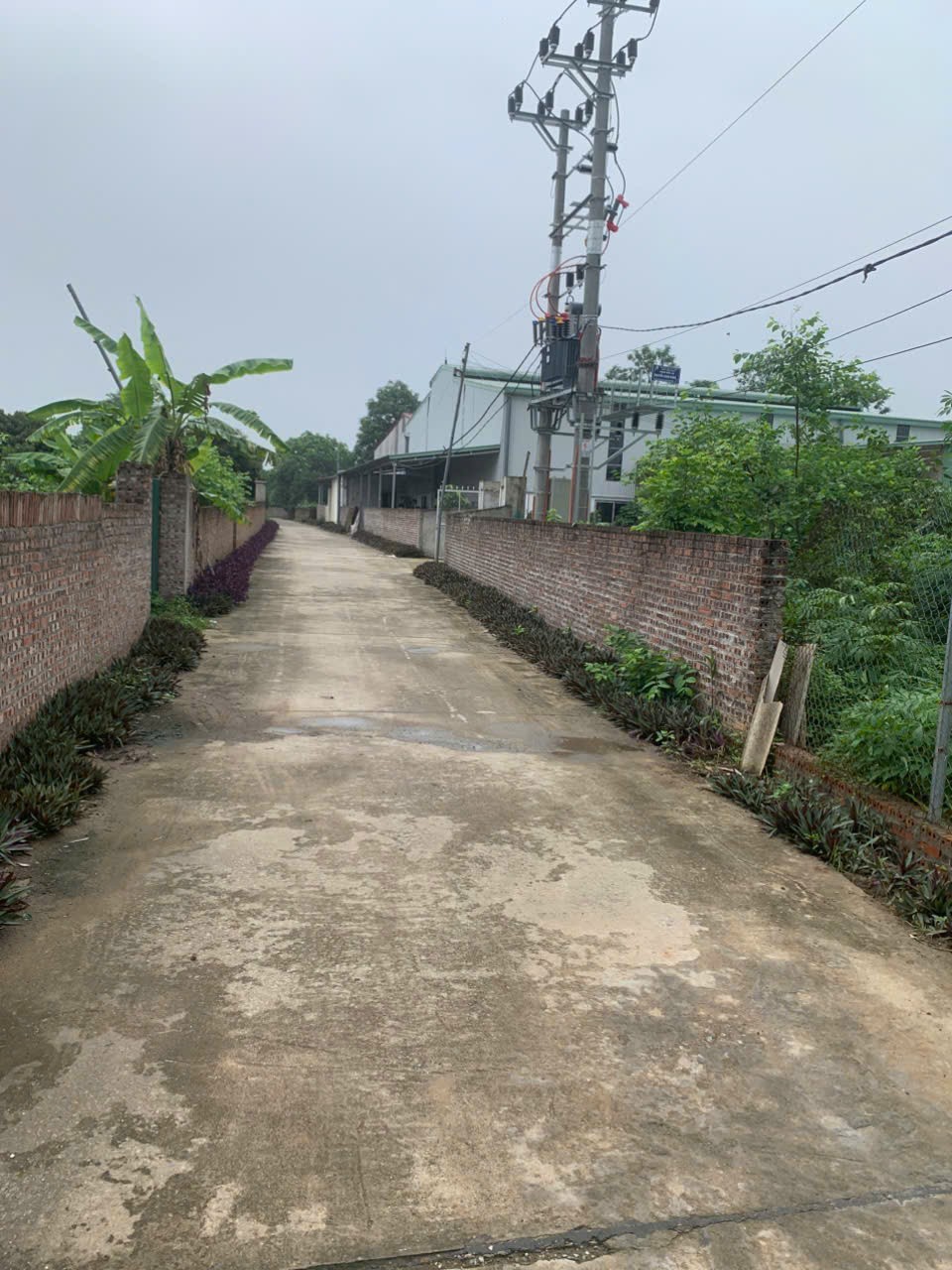 ĐẤT ĐẸP - GIÁ TỐT - Cần Bán Nhanh Lô Đất Tại Đường tỉnh 411C, Xã Phú Sơn, Huyện Ba Vì, Hà Nội - Ảnh 2