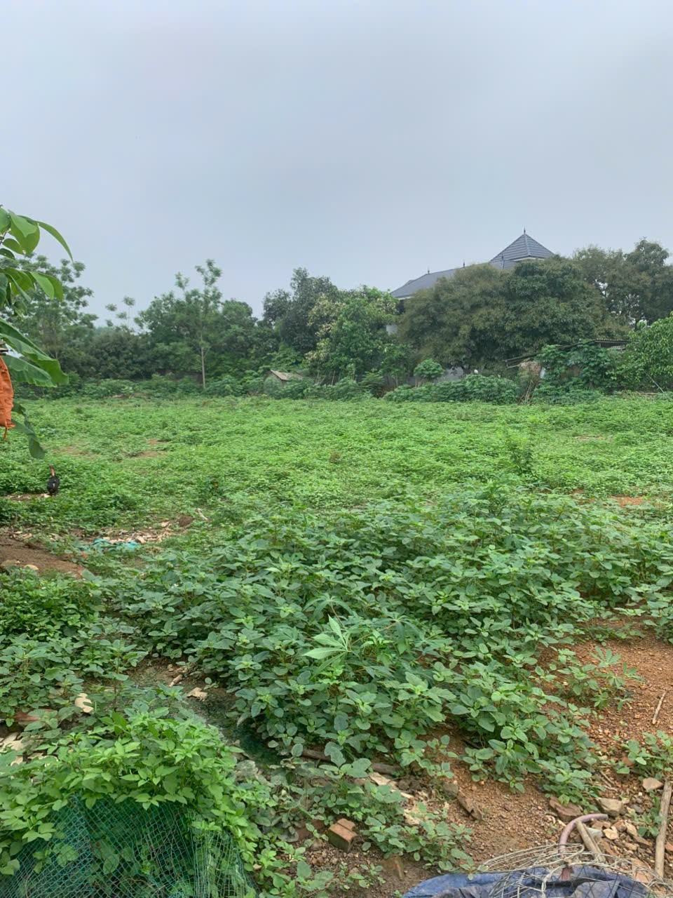 ĐẤT ĐẸP - GIÁ TỐT - Cần Bán Nhanh Lô Đất Tại Đường tỉnh 411C, Xã Phú Sơn, Huyện Ba Vì, Hà Nội - Ảnh 3