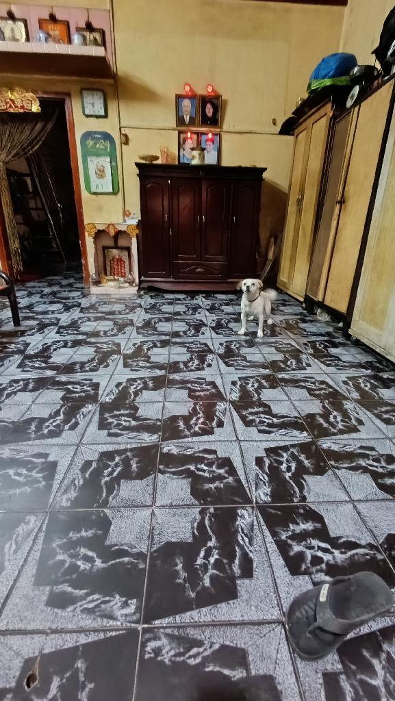 CẦN TIỀN BÁN GẤP NHÀ HOÀI THANH [P14, Q8] DT: 83M2 (4.3X 2OM) 2T, 5PN CHỈ 7 TỶ ĐƯỜNG TRƯỚC NHÀ RỘNG - Ảnh chính