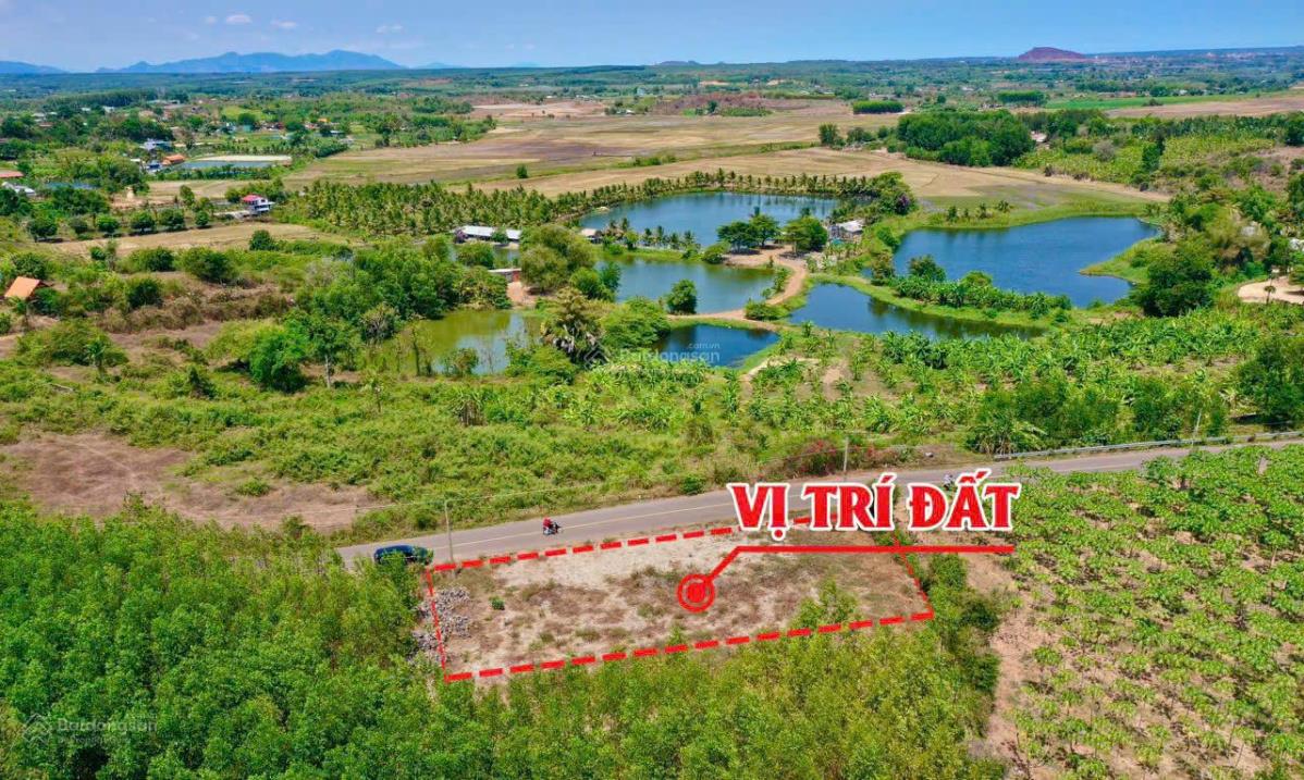 Hàng hiếm tại Xã Long Tân, Long Đất, Bà Rịa Vũng Tàu, 170m2 giá 6xx - Ảnh 3