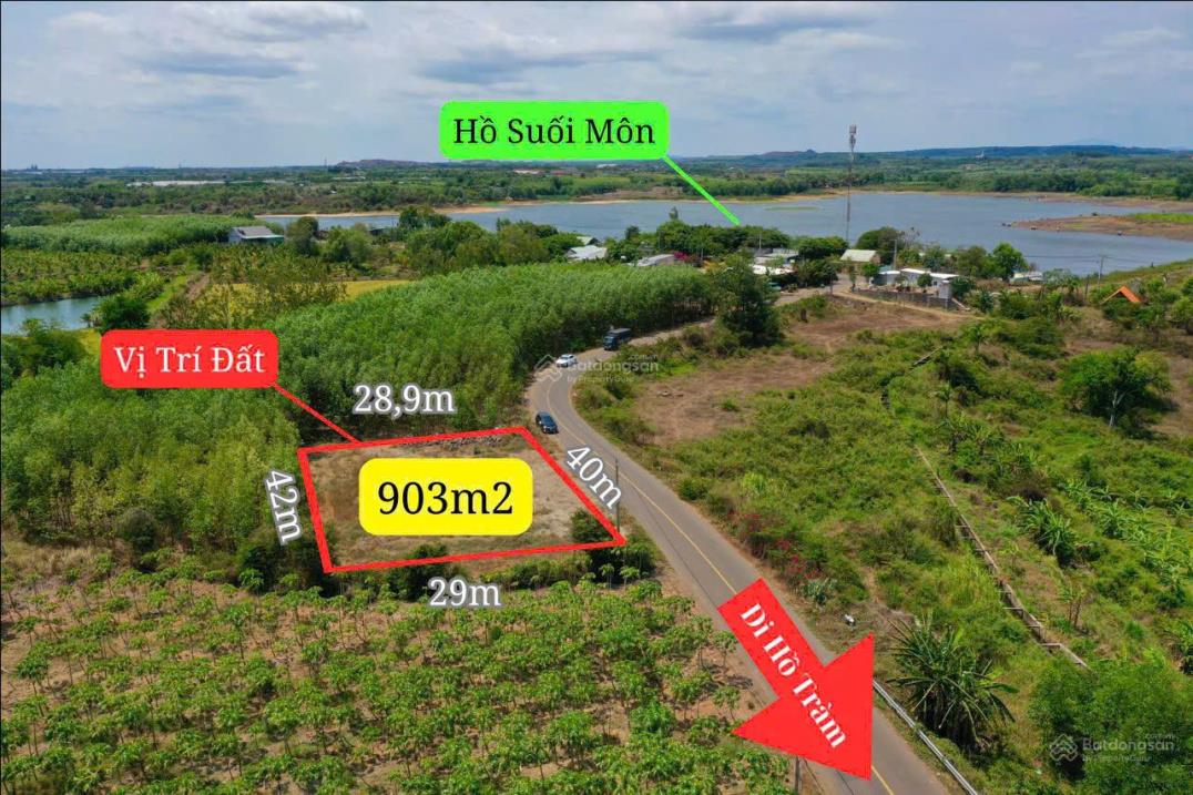 Hàng hiếm tại Xã Long Tân, Long Đất, Bà Rịa Vũng Tàu, 170m2 giá 6xx - Ảnh 4
