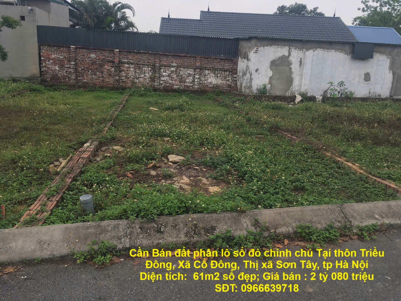 Cần Bán đất phân lô sổ đỏ chính chủ Tại thôn Triều Đông, Xã Cổ Đông, Thị xã Sơn Tây, tp Hà Nội - Ảnh chính