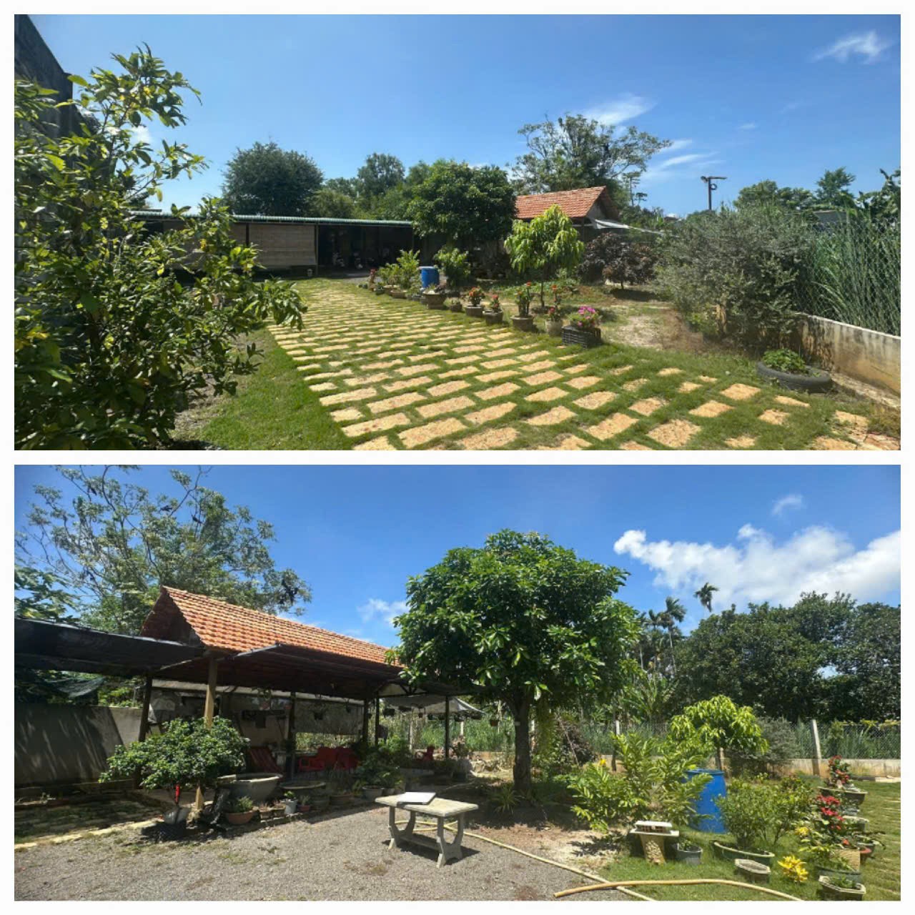 VỊ TRÍ ĐẸP - GIÁ TỐT -  Bán Đất CHÍNH CHỦ Sẵn Nhà Ở và Sân Vườn - Phước Hội, Long Đất, BRVT - Ảnh 3