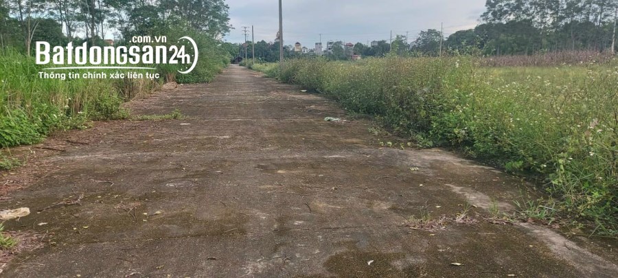 BÁN LÔ ĐẤT SIÊU ĐẸP KHU GIÃN DÂN HOÀ LẠC - Ảnh chính