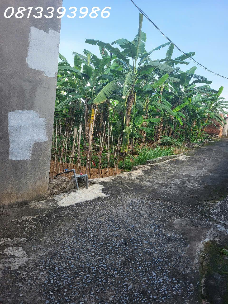 💣 Bất Ngờ Với Lô Đất 120m² – Gần KCN, Cách Trục Chính Chỉ 20m – Giá Chỉ Vài Trăm Triệu! - Ảnh 1