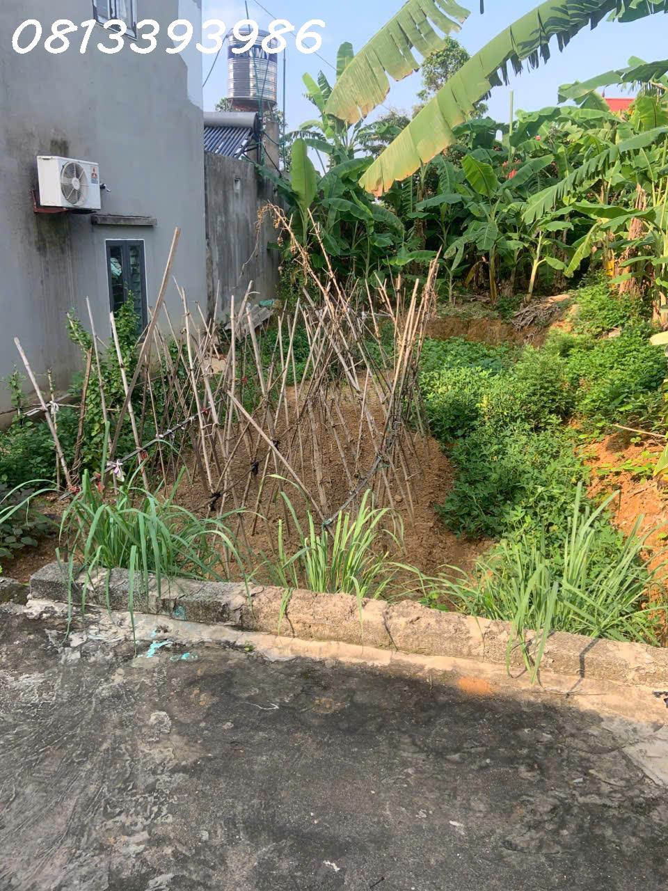 💣 Bất Ngờ Với Lô Đất 120m² – Gần KCN, Cách Trục Chính Chỉ 20m – Giá Chỉ Vài Trăm Triệu! - Ảnh 4