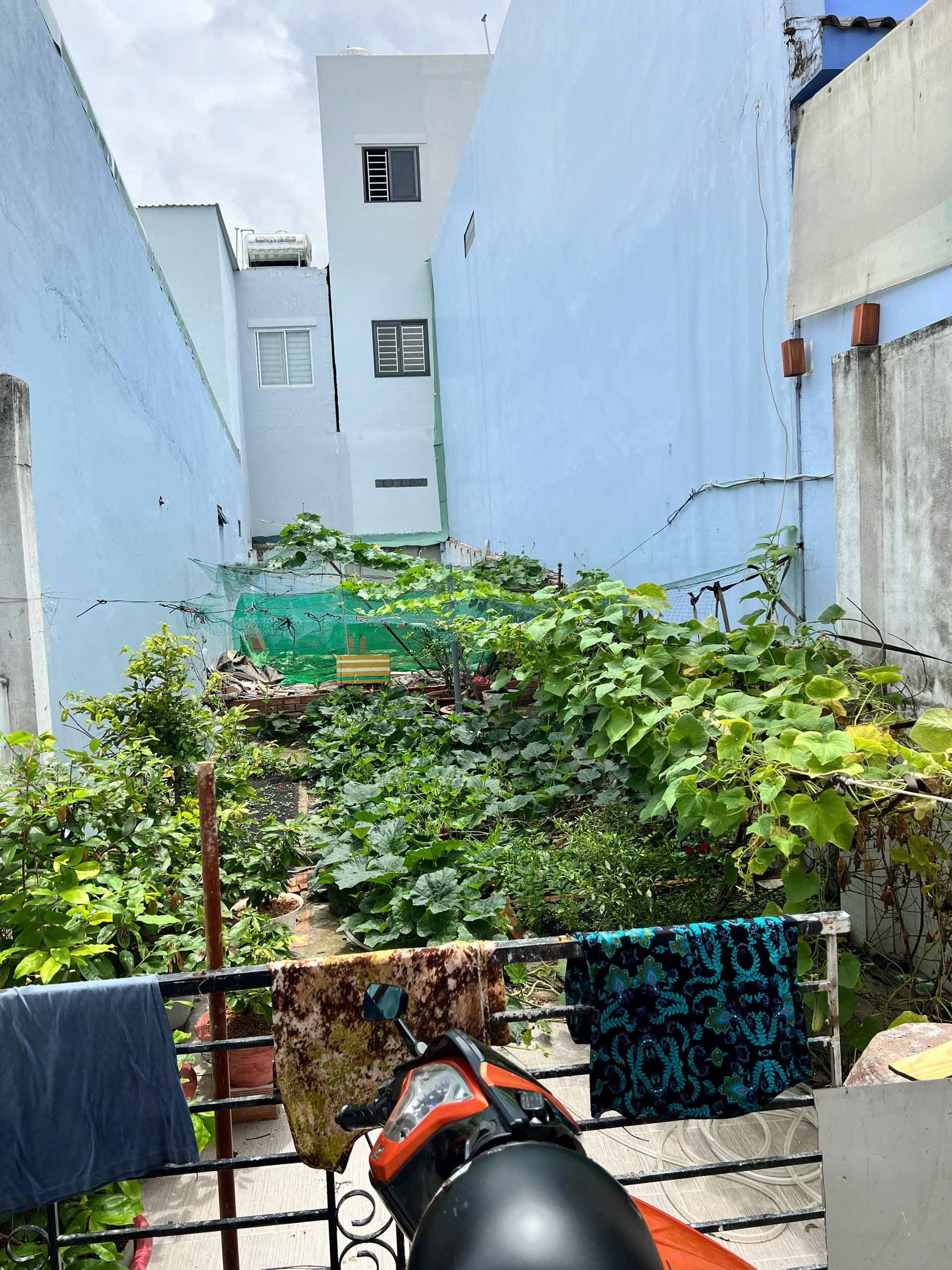 Bán đất trung tâm Bình Thạnh, 74m² nở hậu – GIÁ 6 TỶ TL – hẻm 3 gác gần mặt tiền Đinh Bộ Lĩnh - Ảnh 1