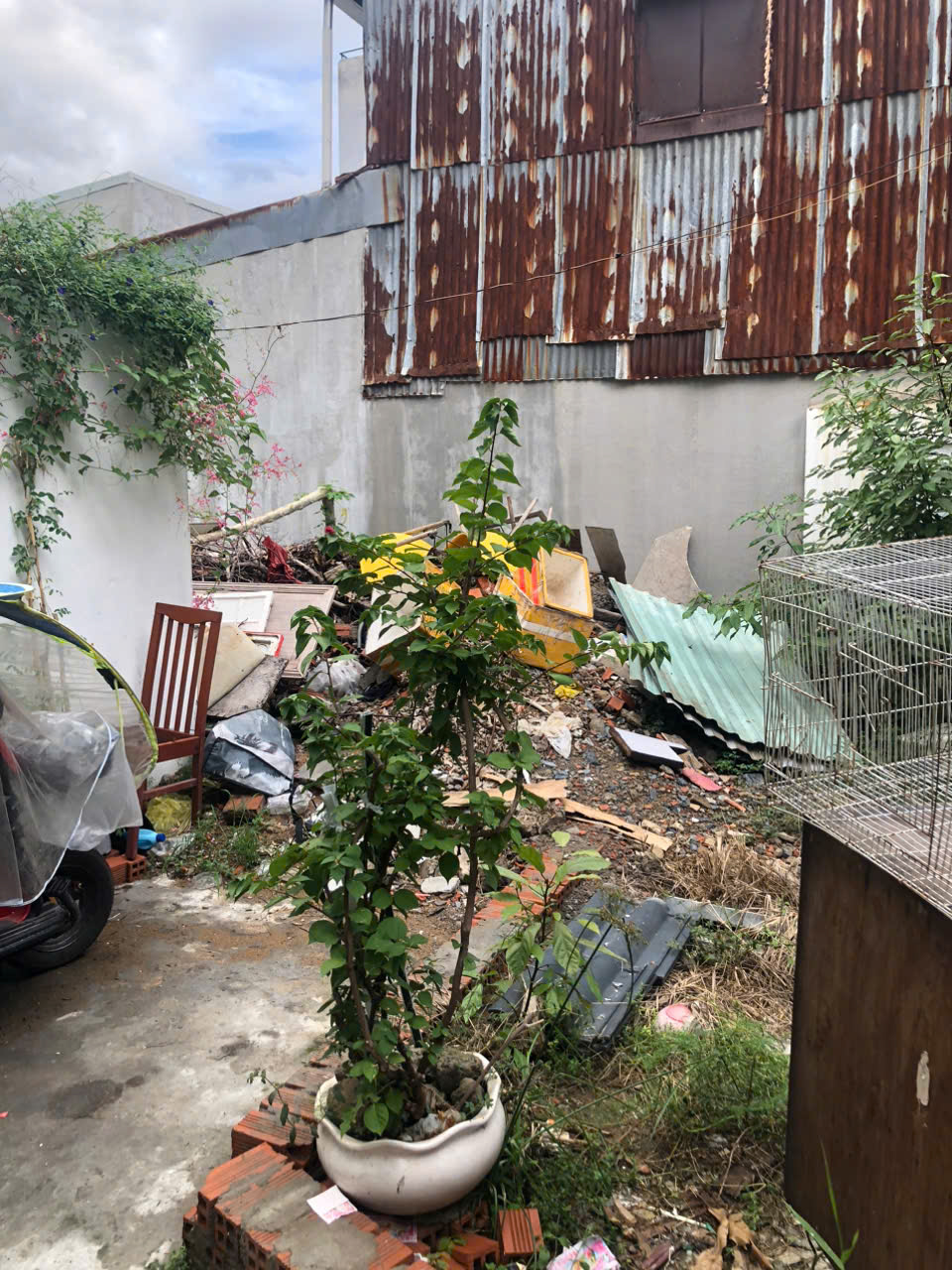 Bán đất trung tâm Bình Thạnh, 74m² nở hậu – GIÁ 6 TỶ TL – hẻm 3 gác gần mặt tiền Đinh Bộ Lĩnh - Ảnh chính