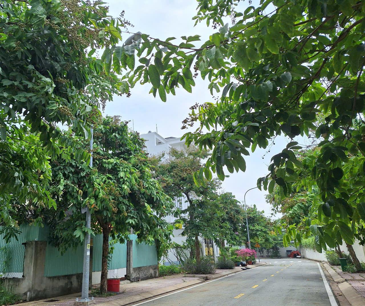 153m đất KDC Bộ Công An, 11.5 tỷ, sổ riêng, xây dựng ngay - Ảnh chính