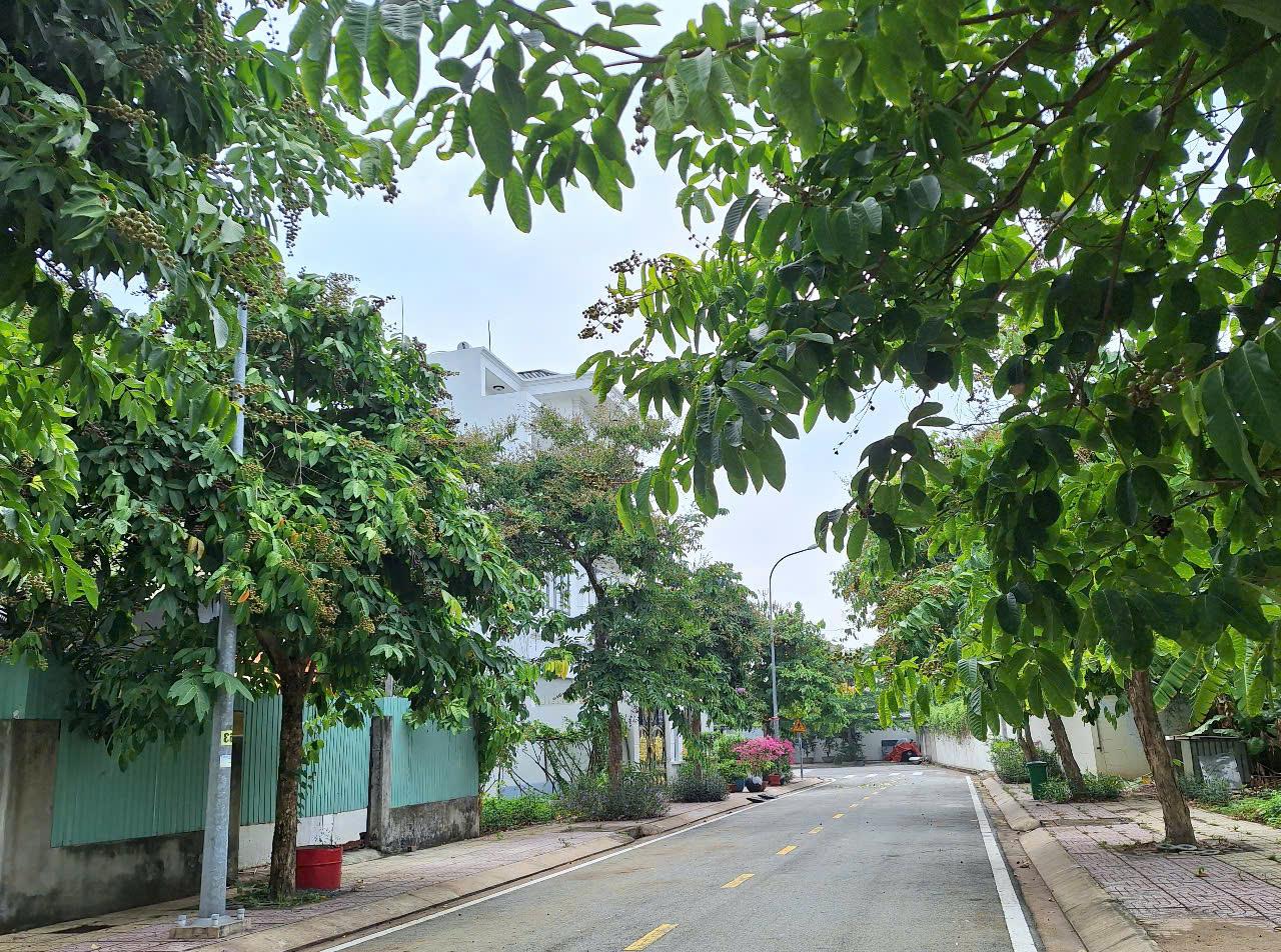 153m đất KDC Bộ Công An, 11.5 tỷ, sổ riêng, xây dựng ngay - Ảnh 2