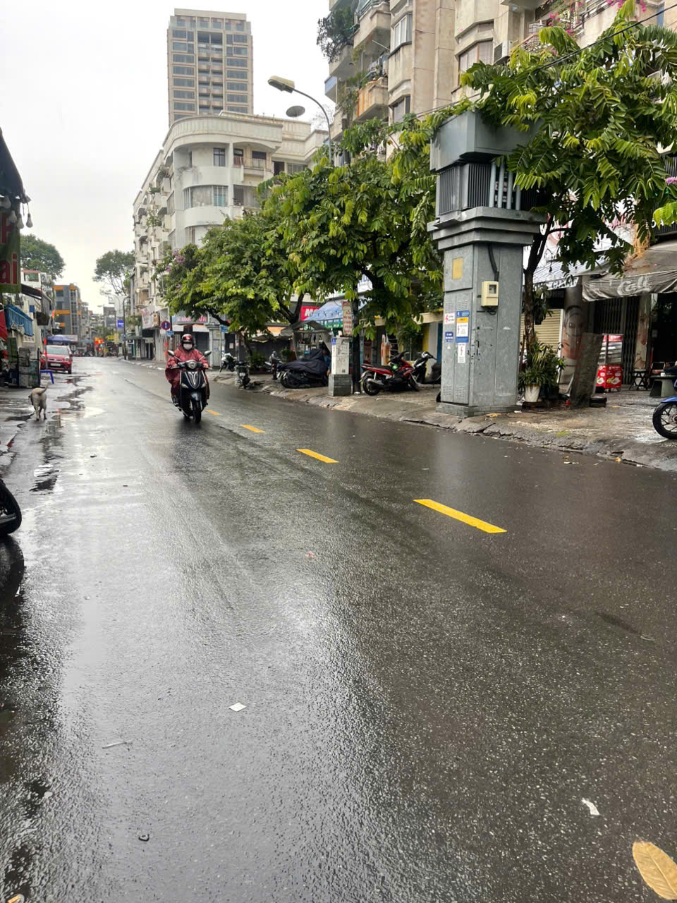 Bán nhà nát tiện xây mới, ngang 5,4m Lê Hồng Phong Q5 giá 7,99 tỷ còn TL - Ảnh 3