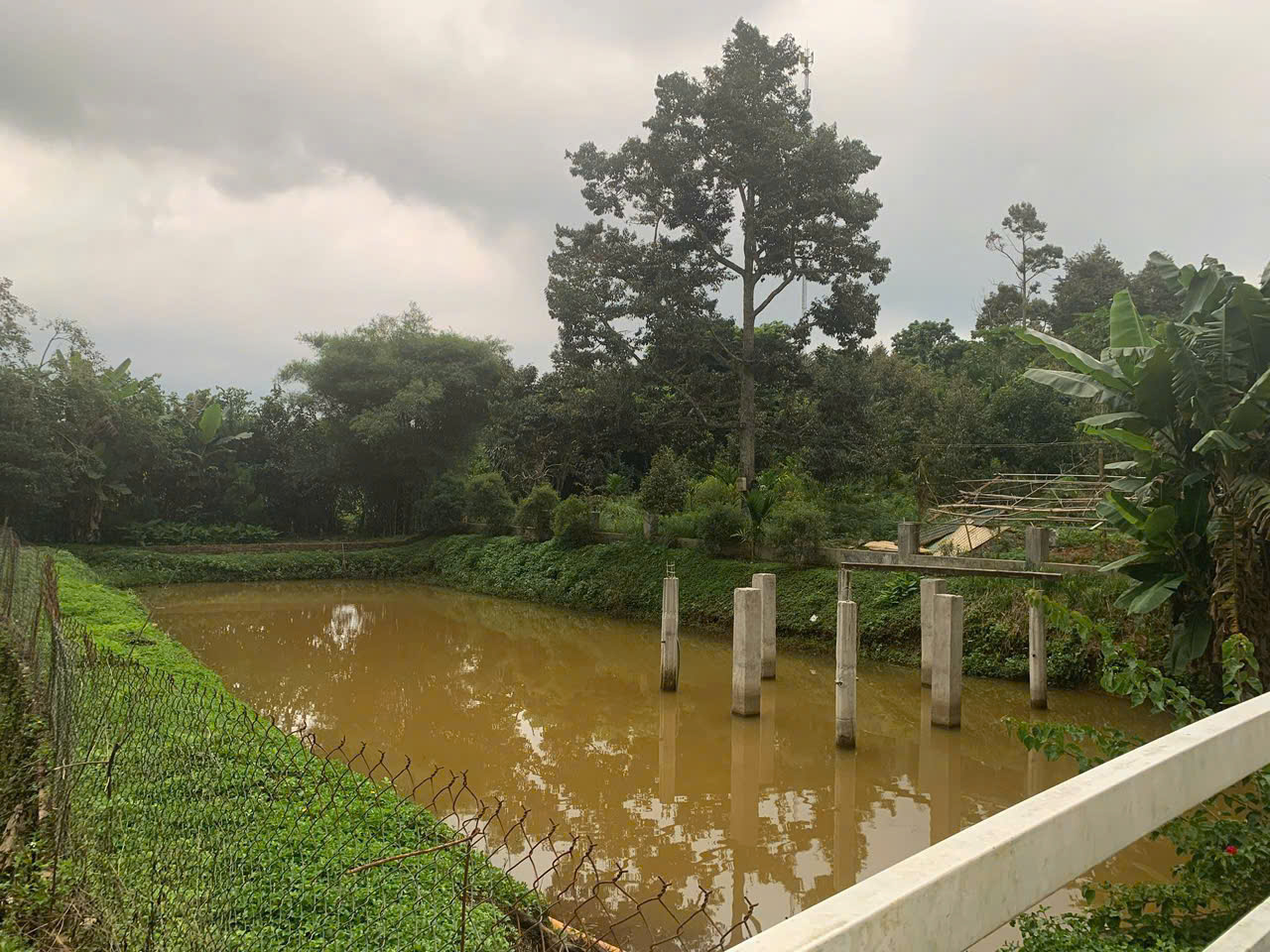 - Bán Lô Đất Nghỉ Dưỡng Đẹp Như Tranh Tại Lộc An – View Hồ – Có Sẵn Nhà, Vườn Trái Cây - Ảnh 4