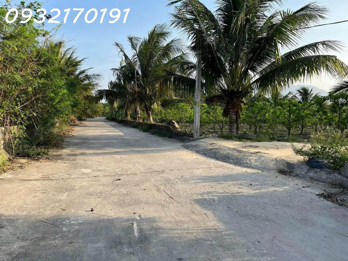 Bàn Cờ Cam Hiệp Nam- Đường lớn- Qh An giữ lại- Có thổ cư giá chỉ 1,5 tỷ- Lô đầu tư tốt - Ảnh 2