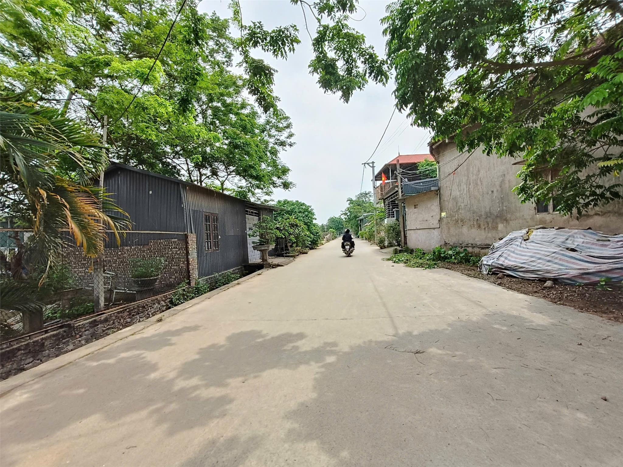 Hàng F0 giá rẻ hơn thị trường 10 giá, diện tích 120m2 Thạc Quả, Dục Tú, gần cầu Tứ Liên - Ảnh chính