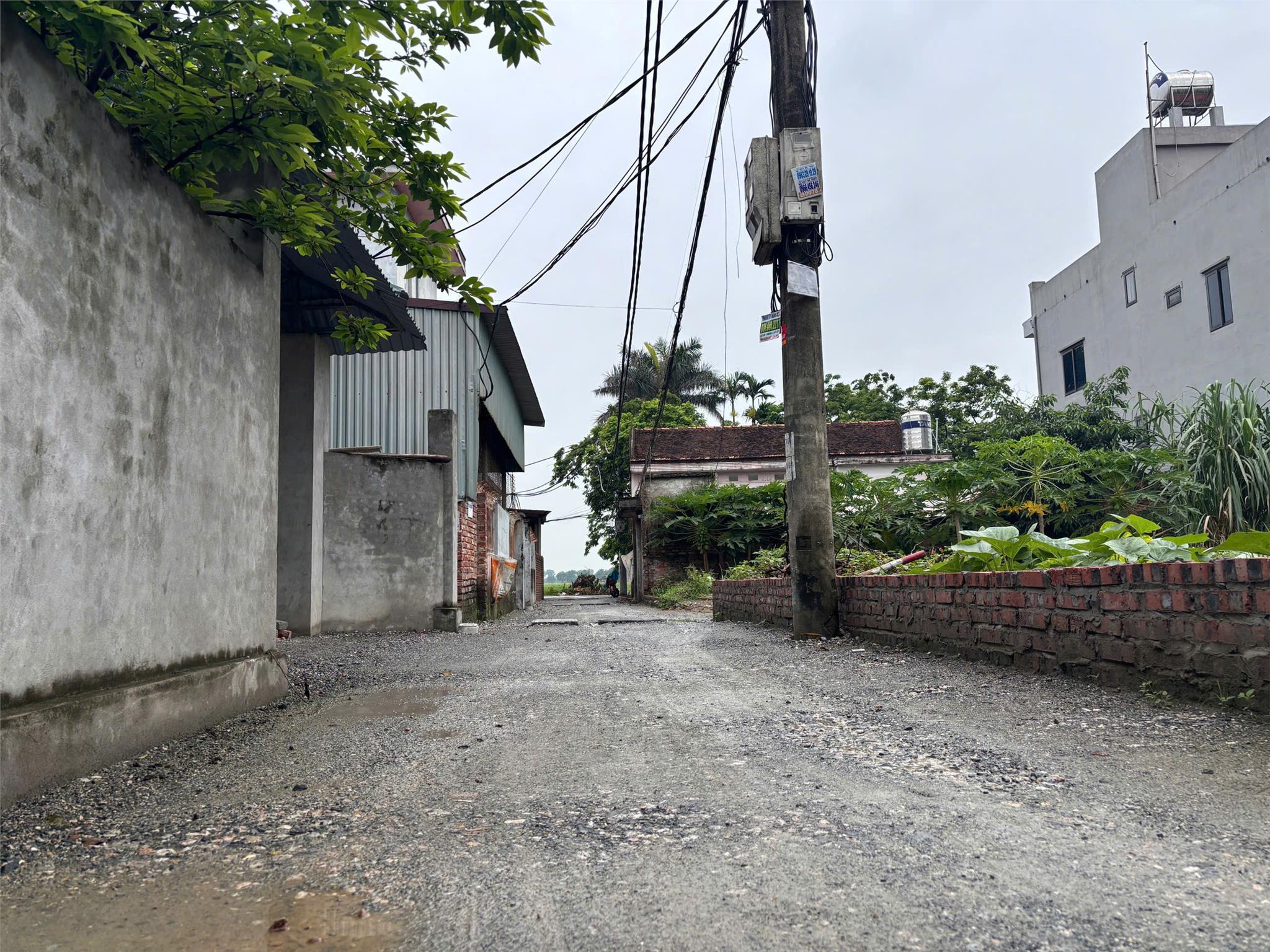 Hàng F0 giá rẻ hơn thị trường 10 giá, diện tích 120m2 Thạc Quả, Dục Tú, gần cầu Tứ Liên - Ảnh 2