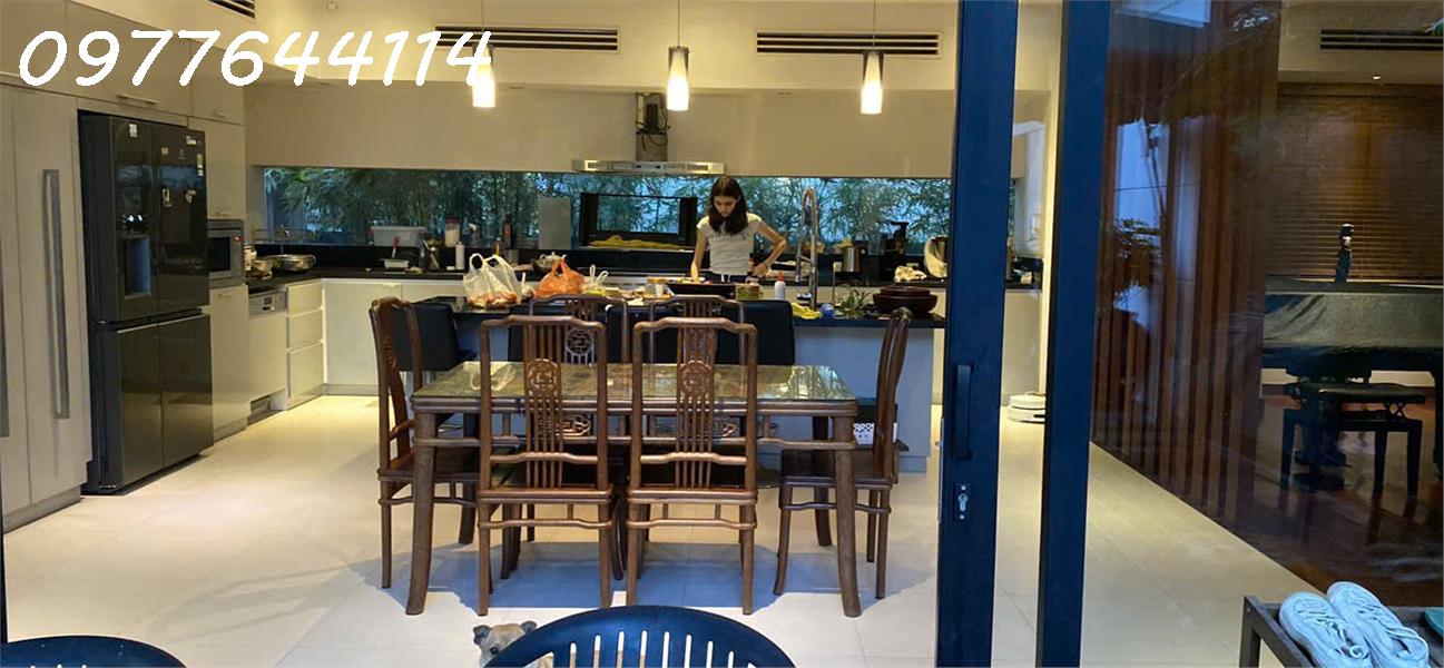 Cho thuê Biệt Thự Đảo Xanh Hòa Cường Bắc, Hải Châu, có hồ bơi đầy đủ nội thất - Ảnh 1