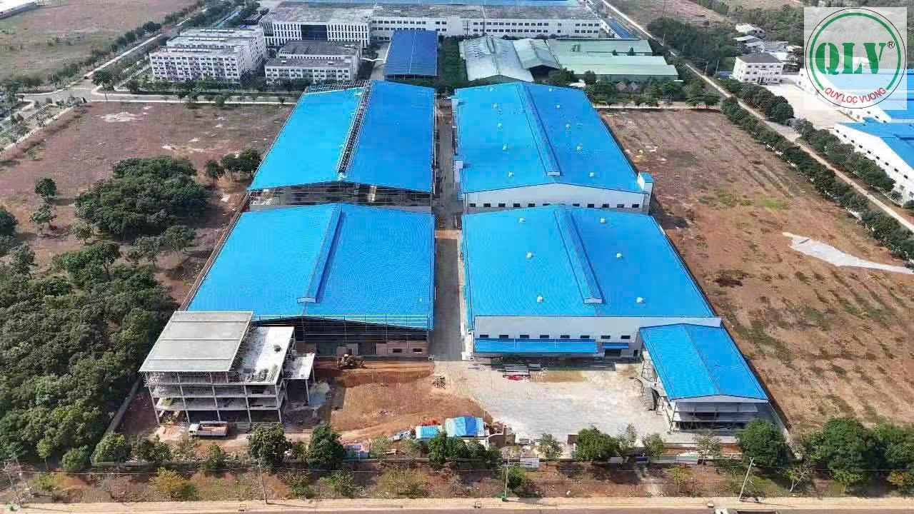 Cho thuê nhà xưởng cao tầng 23.281 m2 CCN Tiến Hưng, Bình Phước - Ảnh 4