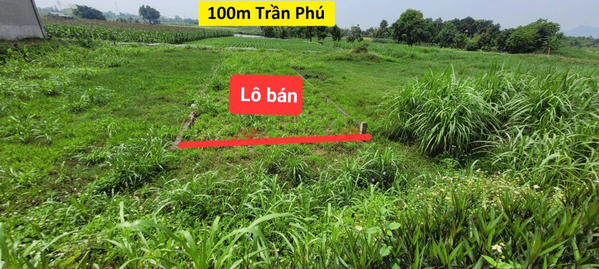 CHÍNH CHỦ BÁN LÔ ĐẤT 100M TẠI TRẦN PHÚ-CHƯƠNG MỸ-HÀ NỘI - Ảnh chính