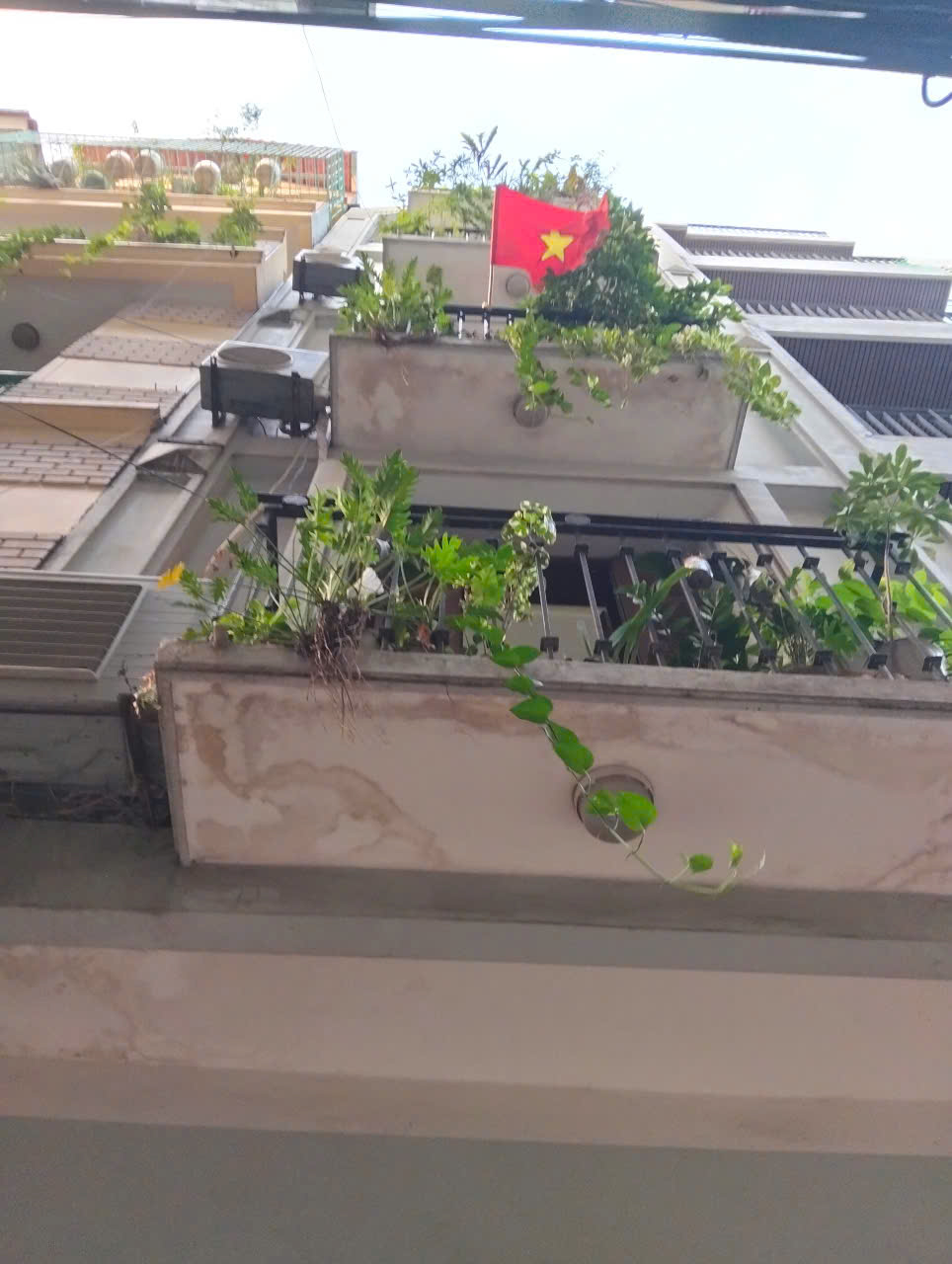 Bán Nhà Phố Nguyễn Thị Định 97 m2 x 3t MT 5.2m Lô Góc K/D Vỉa Hè 91 Tỷ Q. Cầu Giấy - Ảnh 1