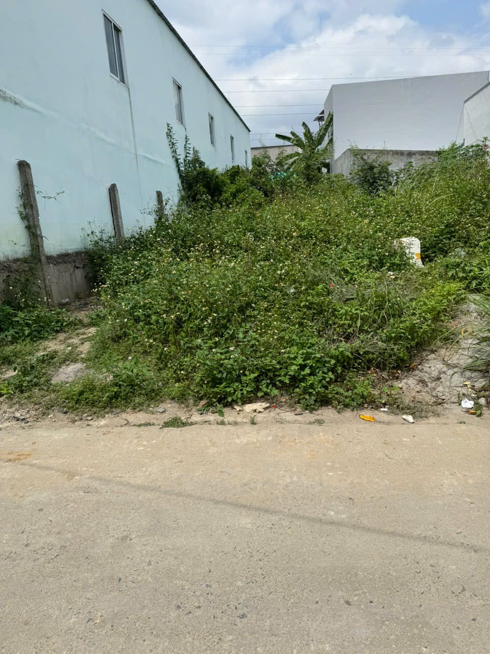 🔥 BÁN ĐẤT FULL THỔ CƯ, VĨNH THẠNH, NHA TRANG - GẦN TRỤC ĐƯỜNG D30 – GIÁ CHỈ 16,9 TRIỆU/M² - Ảnh 1