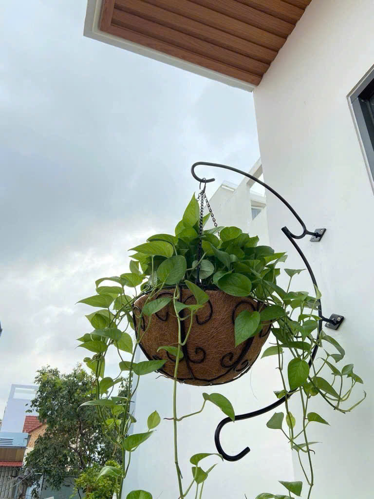 Bán Nhà Phố Đường Âu Dương Lân Phường 3 Quận 8 - Ảnh 4