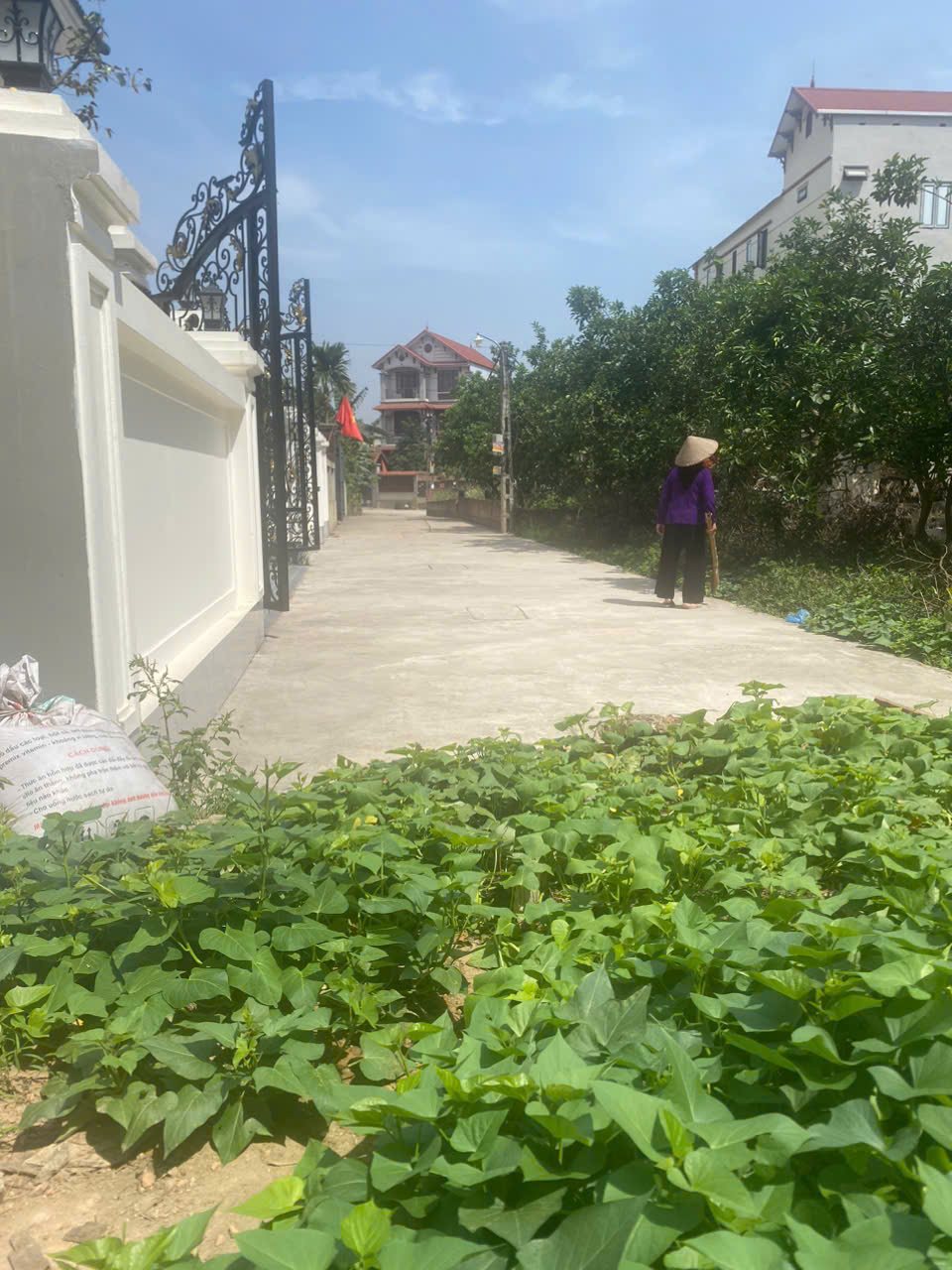 Mình cần bán đất Tráng Việt, Mê Linh - Alo mình -Chính chủ mình luôn - Ảnh chính