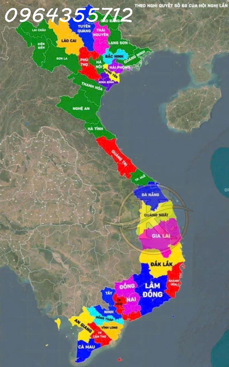 ĐẤT CẦN GIỜ CẦN THANH LÍ GẤP - Ảnh 4