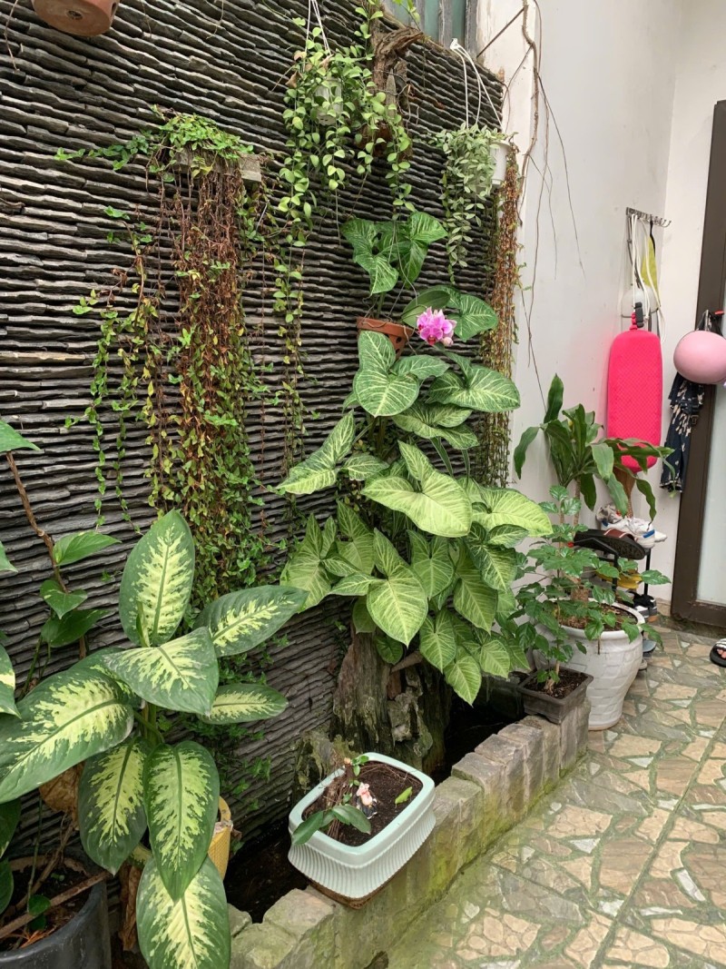 GẤP BÁN! Nhà mới full nội thất, dt 60m2, ngang 7.5m, 2 tầng ở ngay, chỉ 3.68 tỷ - Ảnh 2