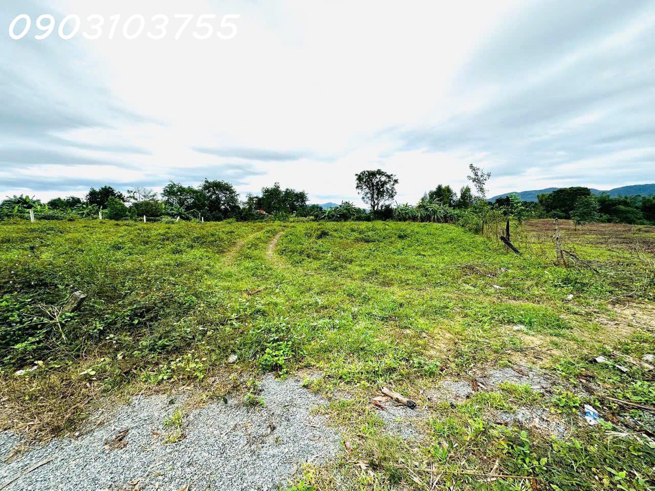 Cần chuyển nhượng Đất QH Thổ Cư - View Sông Chò ngay trung tâm xã Khánh Bình, cách Nha Trang 40 - Ảnh 3