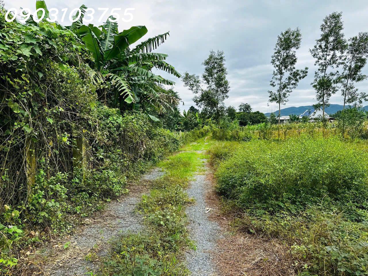 Cần chuyển nhượng Đất QH Thổ Cư - View Sông Chò ngay trung tâm xã Khánh Bình, cách Nha Trang 40 - Ảnh 1