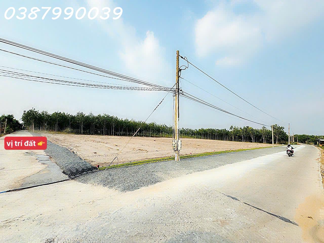 Đất dân sổ sẵn ngay khu dân cư ĐẠI NAM giá chỉ 390tr - Ảnh 4