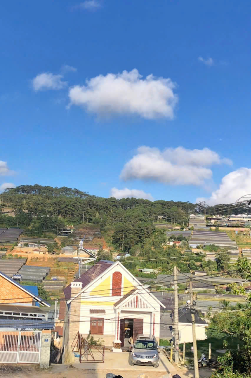 Bán nhà 2 mặt tiền 450m2 view thung lũng đèn Trịnh Hoài Đức phường 11 Đà Lạt - giá 9.5 tỷ - Ảnh chính