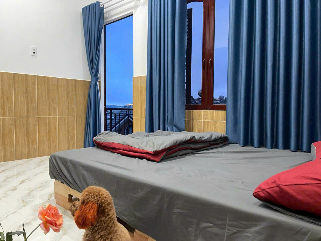 Bán nhà 2 mặt tiền 450m2 view thung lũng đèn Trịnh Hoài Đức phường 11 Đà Lạt - giá 9.5 tỷ - Ảnh 3