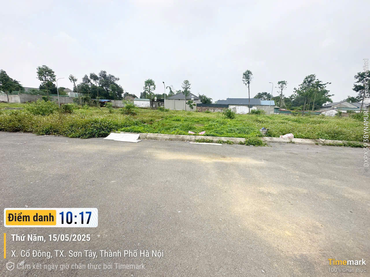 BÁN ĐẤT CHÍNH CHỦ – VỊ TRÍ ĐẸP, ĐI BỘ RA TRƯỜNG MẦM NON, TIỂU HỌC, THCS TẠI THÔN TRIỀU ĐÔNG, SƠN - Ảnh chính