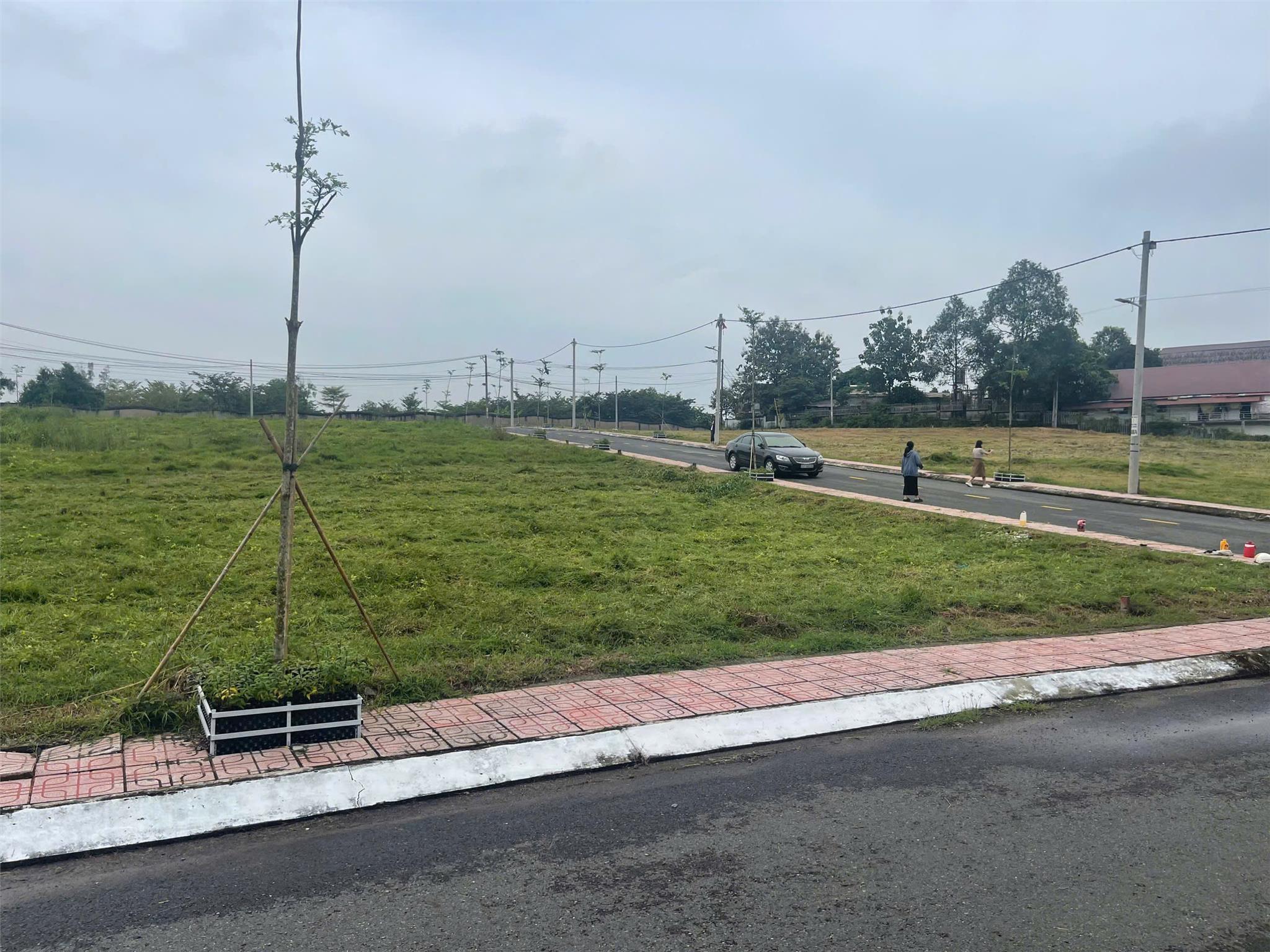 Đất nền mặt tiền đường lớn – Kết nối TP.HCM, Dĩ An, Bình Dương dễ dàng! - Ảnh chính