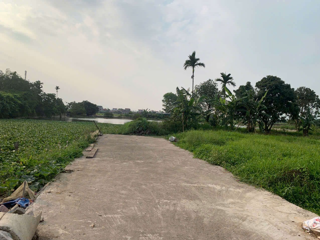CẦN BÁN GẤP 2 LÔ ĐẤT GIÁ RẺ TẠI  HÒA LÂM - ỨNG HÒA - HÀ NỘI - Ảnh 1