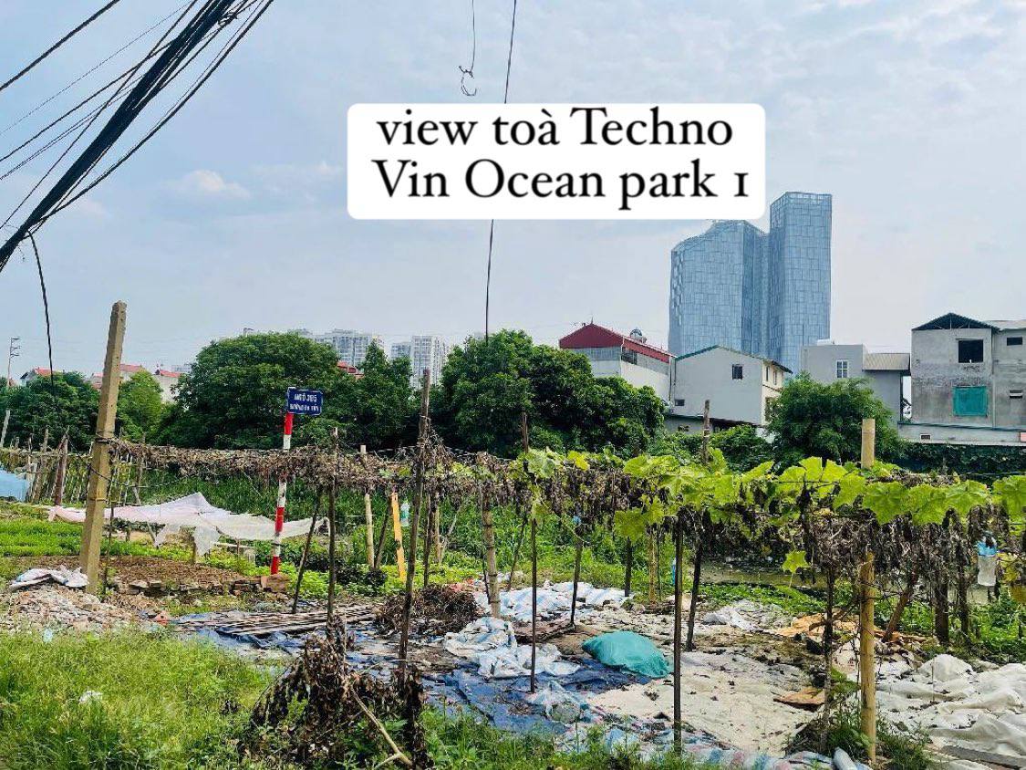 Bán đất Đa Tốn Gia Lâm - diện tích rộng xây nhà vườn, đối diện Vin Ocean park 1 - Ảnh 1