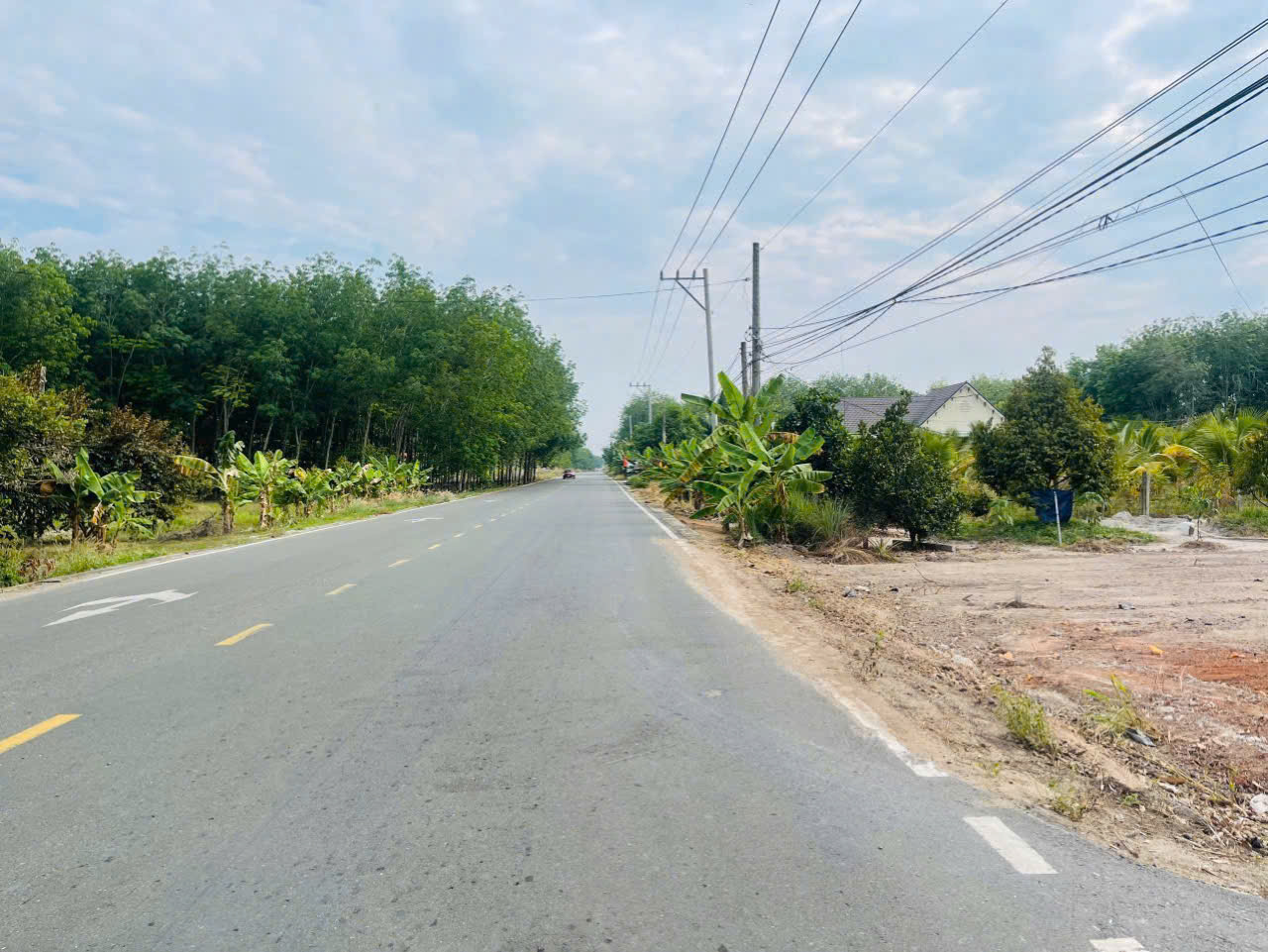 BÁN GẤP LÔ ĐẤT MẶT TIỀN ĐƯỜNG NHỰA RỘNG – GIÁ CỰC TỐT TẠI CHƠN THÀNH - BÌNH PHƯỚC - Ảnh 1