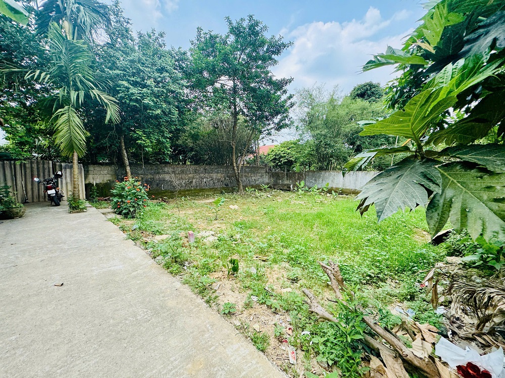 💥 MỞ BÁN 3 LÔ LÝ NAM ĐỂ ĐẸP - OTO TẬN NƠI - CẠNH MT LÊ DUẪN - Ảnh 1