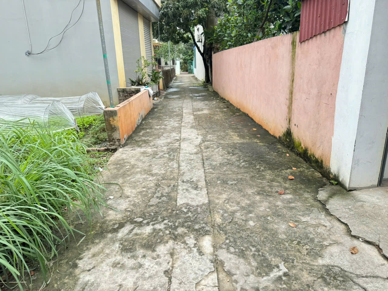 Bán Đất Thôn Do Hạ, Tiền Phong, Mê Linh – Ô Tô Vào Tận Nơi, Gần Chợ, Sổ Đỏ Cất Két - Ảnh chính