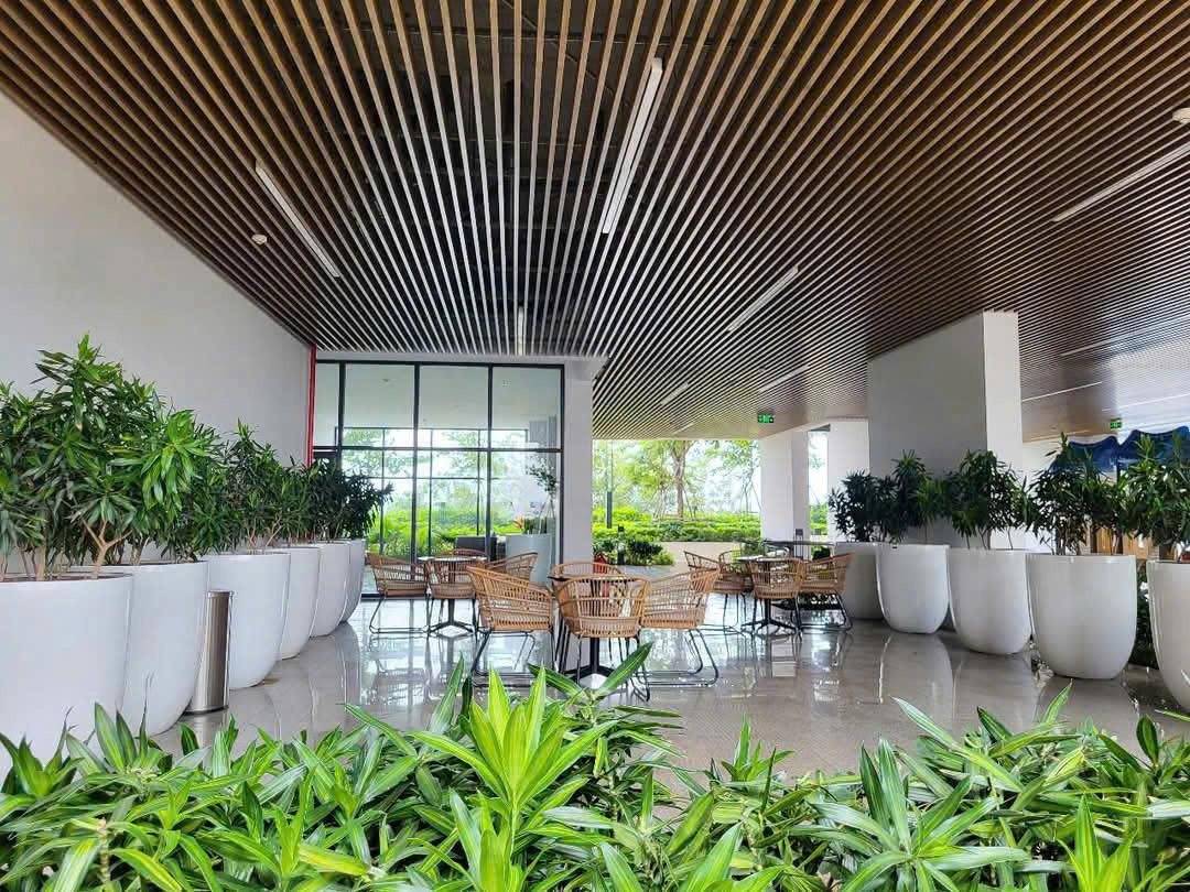 CHÍNH CHỦ CẦN BÁN GẤP CĂN HỘ OPAL SKYLINE TẦNG 30 Ngay Thành Phố Thuận An, Bình Dương. - Ảnh chính