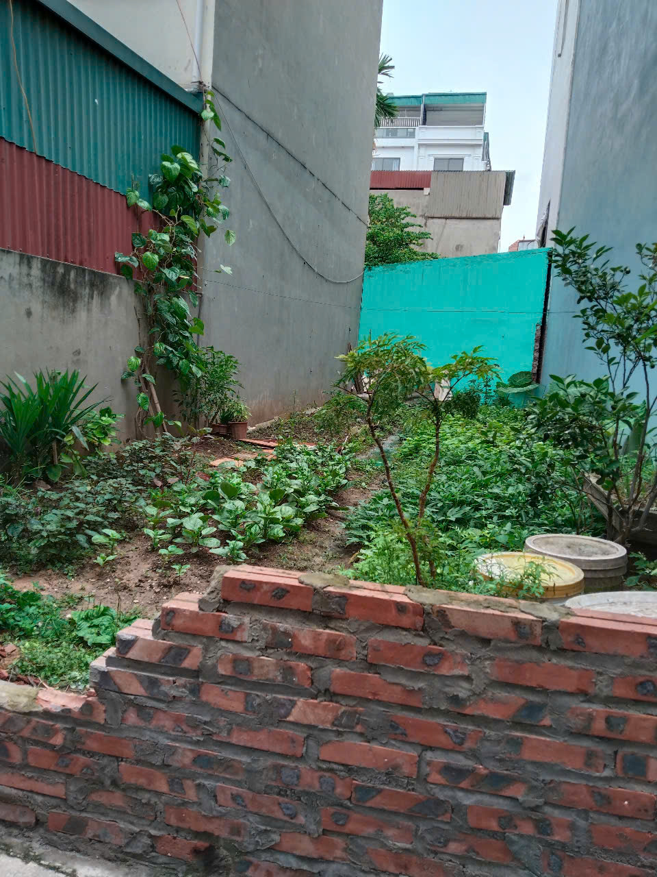 ĐẤT TẶNG NHÀ CẤP 4, MẶT TIỀN 5.6M, GIÁ 2.95 TỶ TẠI PHÚC LỢI, LONG BIÊN - Ảnh chính
