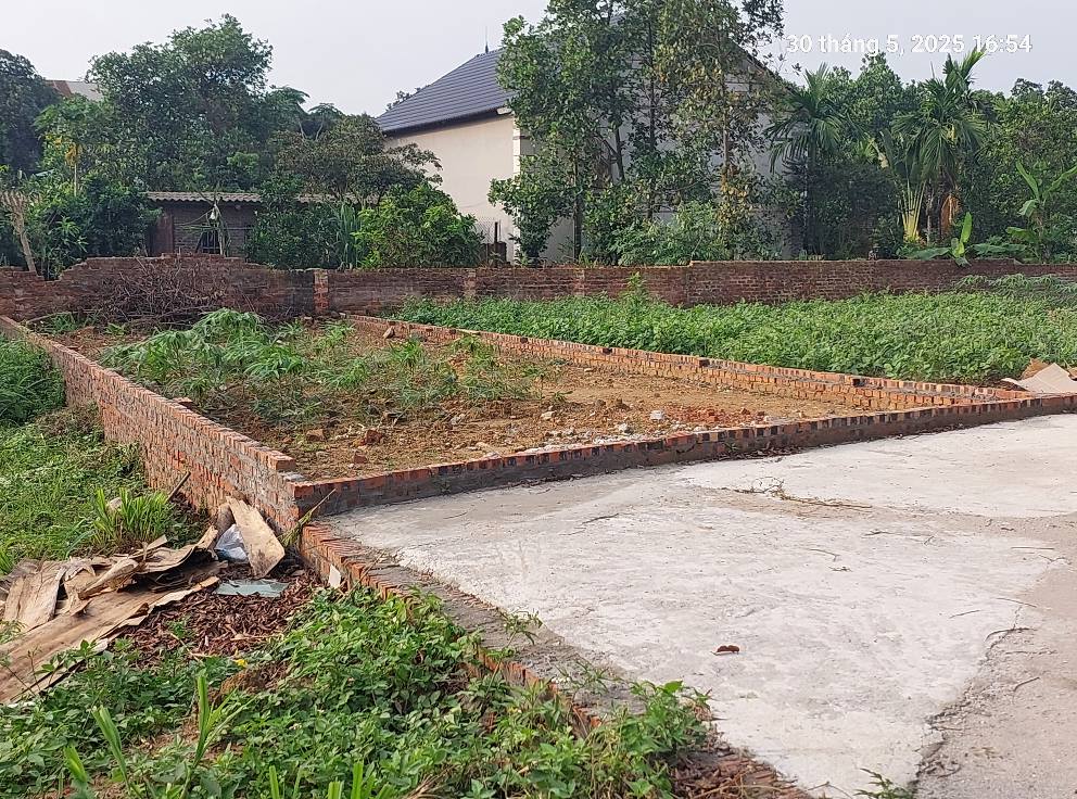 100m2, Mt6m, Thái Lai. Sát Bờ Kênh, 2.45 tỷ, Sóc Sơn. Cần bán. - Ảnh chính
